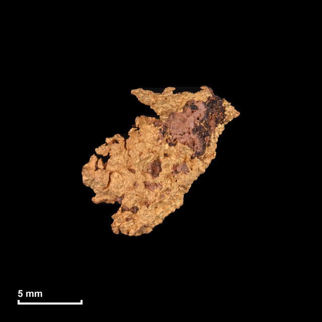 Goldnugget Nr. 26-0017 mit Maßstab: 12,1 × 11,5 mm bei 1,13 g
