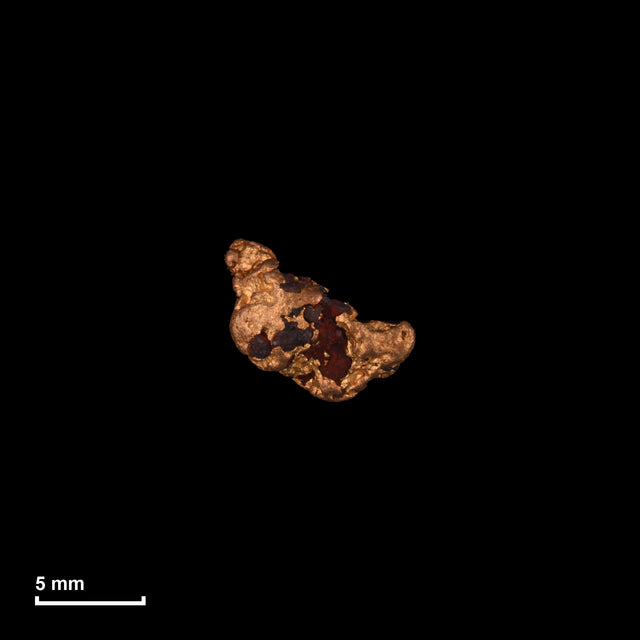 Goldnugget Nr. 26-0160 in tatsächlicher Größe – alle Nuggets im gleichen Maßstab aufgenommen