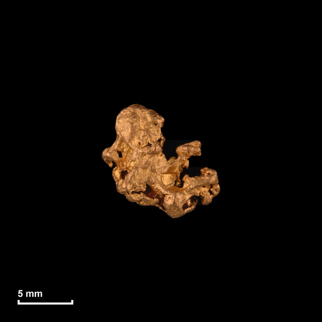 Goldnugget Nr. 26-0246 in tatsächlicher Größe – alle Nuggets im gleichen Maßstab aufgenommen
