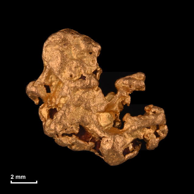 Goldnugget Nr. 26-0246 mit Maßstab: 10,7 × 10,3 mm bei 1,16 g