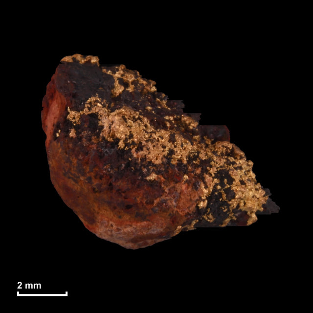 Goldnugget Nr. 26-0298 mit Maßstab: 9,5 × 7,8 mm bei 1,16 g