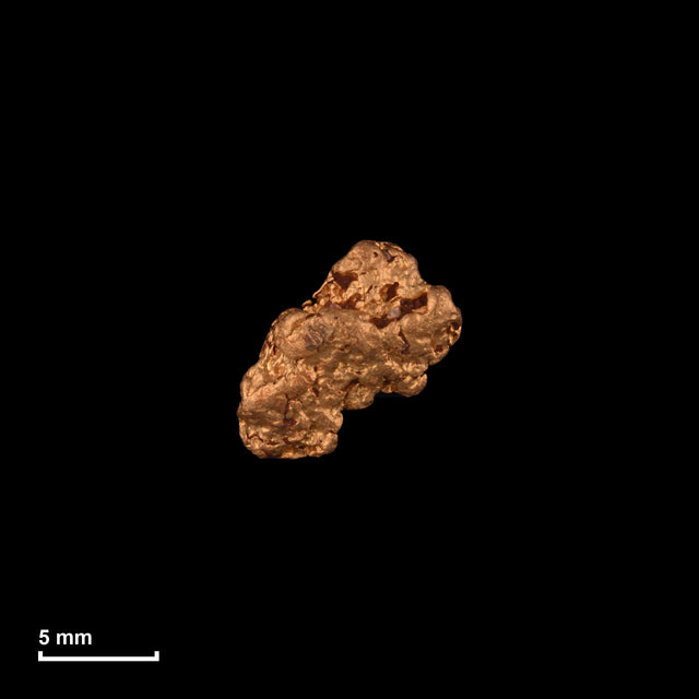 Goldnugget Nr. 26-0159 in tatsächlicher Größe – alle Nuggets im gleichen Maßstab aufgenommen