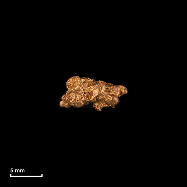 Goldnugget Nr. 26-0241 in tatsächlicher Größe – alle Nuggets im gleichen Maßstab aufgenommen