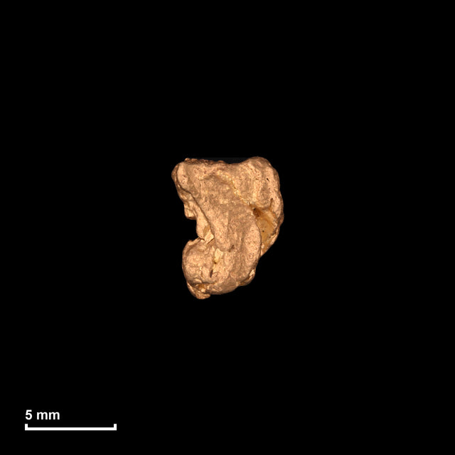 Goldnugget Nr. 26-0103 mit Maßstab: 7,8 × 6,2 mm bei 1,19 g