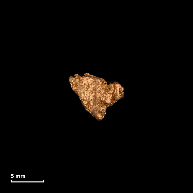 Goldnugget Nr. 26-0138 in tatsächlicher Größe – alle Nuggets im gleichen Maßstab aufgenommen