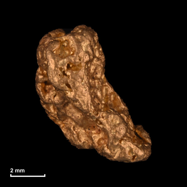 Goldnugget Nr. 26-0251 mit Maßstab: 7,9 × 6,6 mm bei 1,23 g