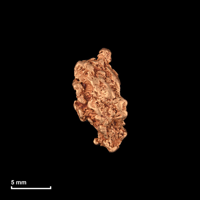 Goldnugget Nr. 26-0006 mit Maßstab: 12,9 × 6,9 mm bei 1,26 g