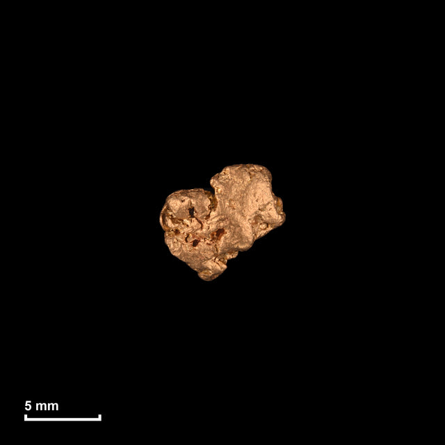 Goldnugget Nr. 26-0123 in tatsächlicher Größe – alle Nuggets im gleichen Maßstab aufgenommen