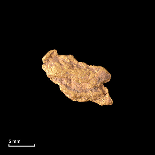 Goldnugget Nr. 26-0335 in tatsächlicher Größe – alle Nuggets im gleichen Maßstab aufgenommen