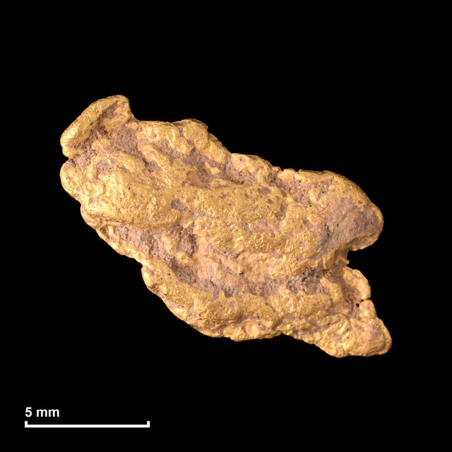 Goldnugget Nr. 26-0335 mit Maßstab: 13,3 × 10,5 mm bei 1,29 g
