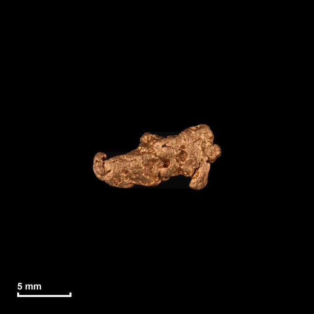 Goldnugget Nr. 26-0199 in tatsächlicher Größe – alle Nuggets im gleichen Maßstab aufgenommen
