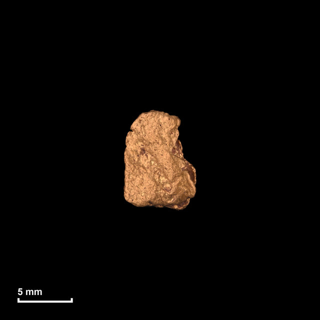 Goldnugget Nr. 26-0206 in tatsächlicher Größe – alle Nuggets im gleichen Maßstab aufgenommen