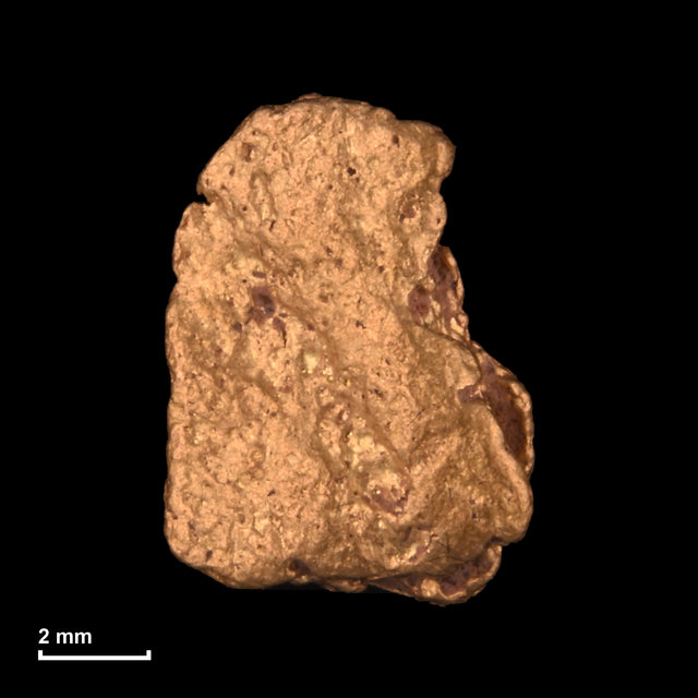 Goldnugget Nr. 26-0206 mit Maßstab: 9,1 × 6,6 mm bei 1,30 g