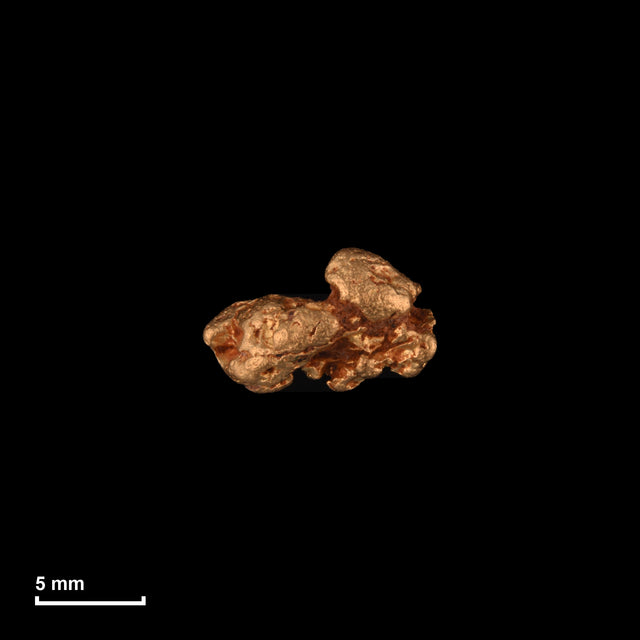 Goldnugget Nr. 26-0244 in tatsächlicher Größe – alle Nuggets im gleichen Maßstab aufgenommen