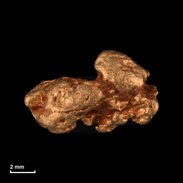 Goldnugget Nr. 26-0244 mit Maßstab: 10,6 × 6,6 mm bei 1,30 g
