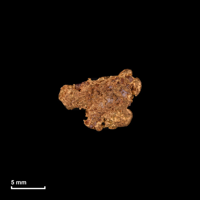 Goldnugget Nr. 26-0243 in tatsächlicher Größe – alle Nuggets im gleichen Maßstab aufgenommen