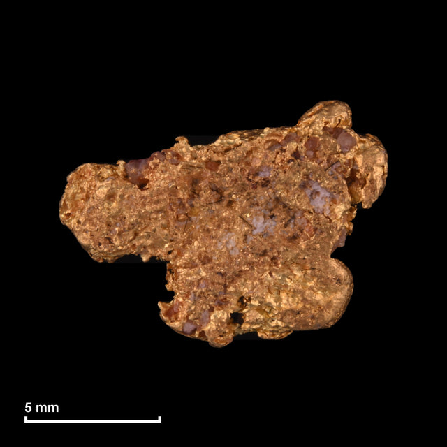 Goldnugget Nr. 26-0243 mit Maßstab: 12,1 × 9,1 mm bei 1,31 g