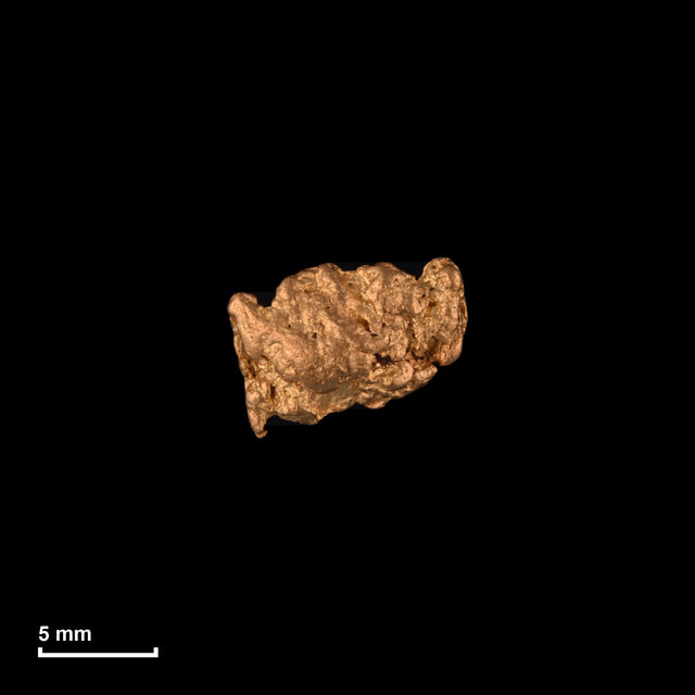 Goldnugget Nr. 26-0248 in tatsächlicher Größe – alle Nuggets im gleichen Maßstab aufgenommen