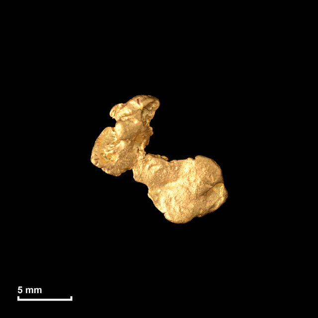 Goldnugget Nr. 26-0344 in tatsächlicher Größe – alle Nuggets im gleichen Maßstab aufgenommen