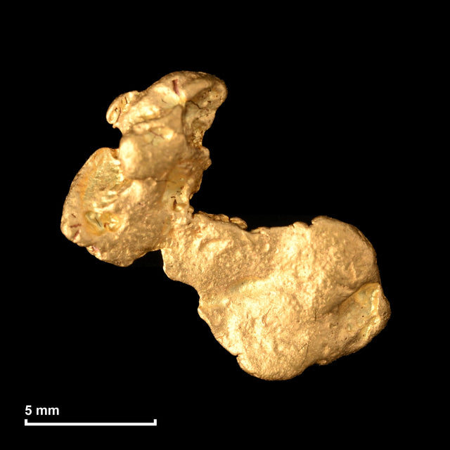 Goldnugget Nr. 26-0344 mit Maßstab: 12,6 × 11,8 mm bei 1,33 g