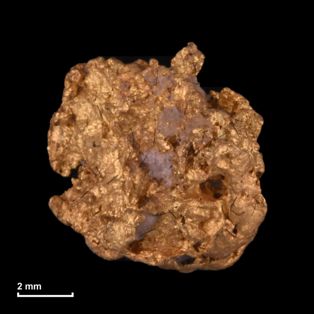 Goldnugget Nr. 26-0255 mit Maßstab: 8,2 × 7,8 mm bei 1,35 g