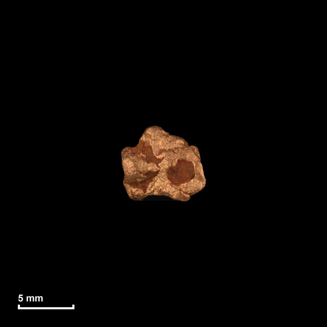 Goldnugget Nr. 26-0166 in tatsächlicher Größe – alle Nuggets im gleichen Maßstab aufgenommen