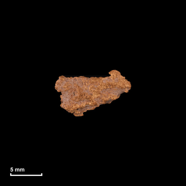 Goldnugget Nr. 26-0287 in tatsächlicher Größe – alle Nuggets im gleichen Maßstab aufgenommen