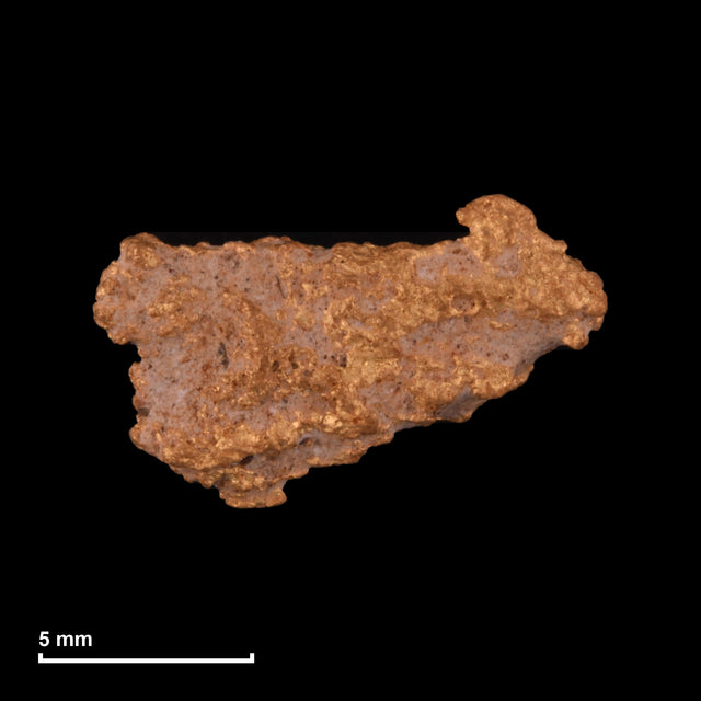 Goldnugget Nr. 26-0287 mit Maßstab: 11,9 × 7,3 mm bei 1,37 g