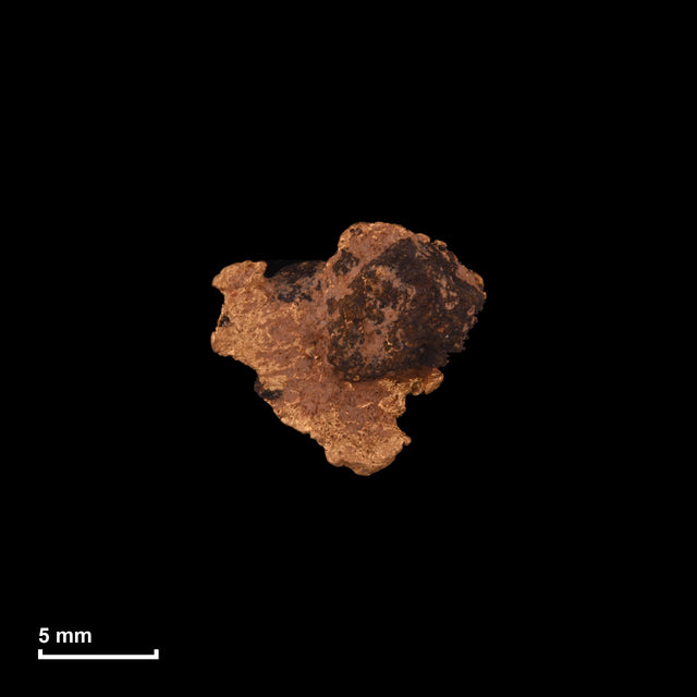 Goldnugget Nr. 26-0291 in tatsächlicher Größe – alle Nuggets im gleichen Maßstab aufgenommen