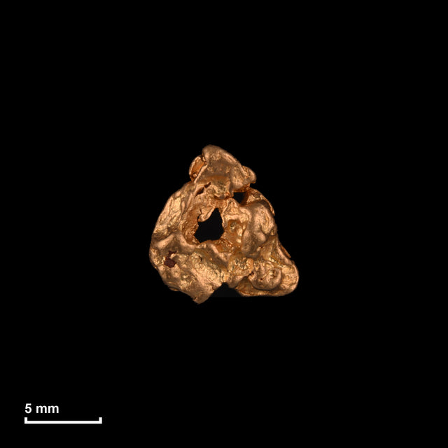 Goldnugget Nr. 26-0250 in tatsächlicher Größe – alle Nuggets im gleichen Maßstab aufgenommen