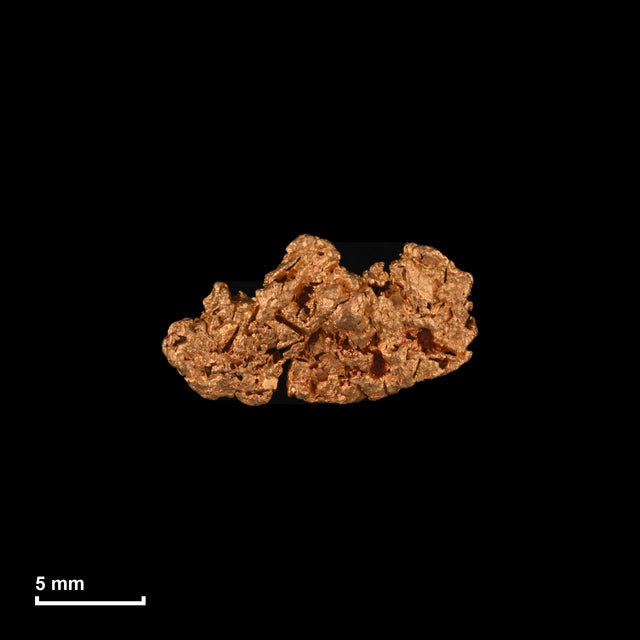 Goldnugget Nr. 26-0242 in tatsächlicher Größe – alle Nuggets im gleichen Maßstab aufgenommen