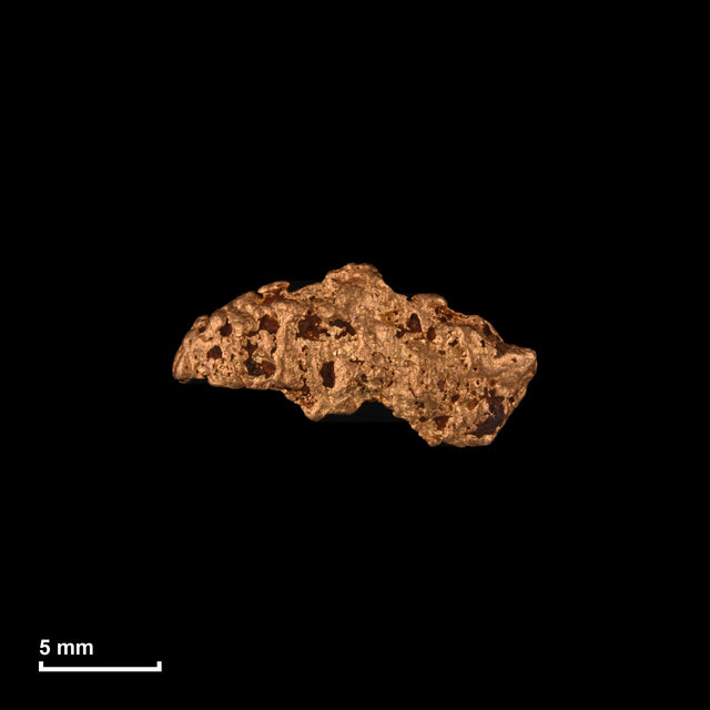 Goldnugget Nr. 26-0245 in tatsächlicher Größe – alle Nuggets im gleichen Maßstab aufgenommen