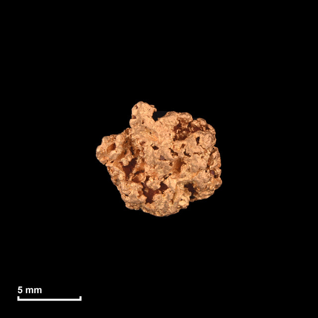 Goldnugget Nr. 26-0004 mit Maßstab: 9,8 × 9,0 mm bei 1,46 g