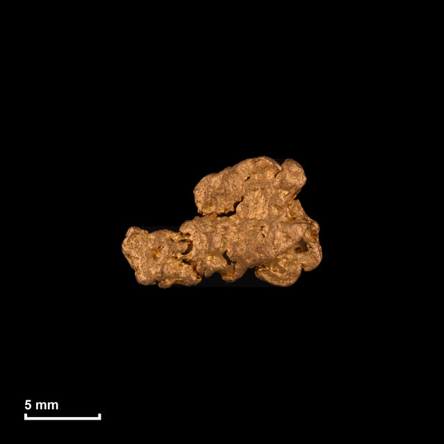 Goldnugget Nr. 26-0235 in tatsächlicher Größe – alle Nuggets im gleichen Maßstab aufgenommen