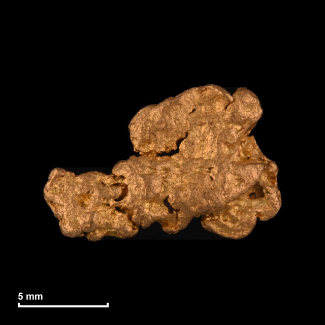 Goldnugget Nr. 26-0235 mit Maßstab: 13,1 × 8,7 mm bei 1,46 g