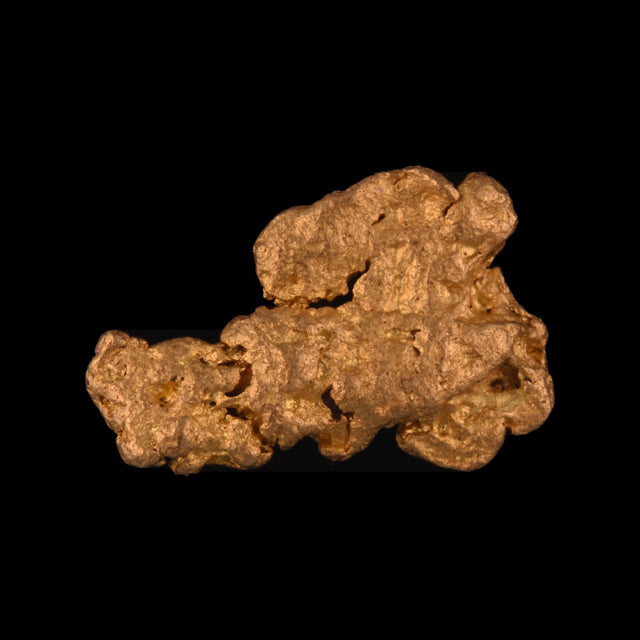 Goldnugget aus Leonora, Westaustralien, 1,46 g, Unikat Nr. 26-0235, freigestellt vor schwarzem Grund