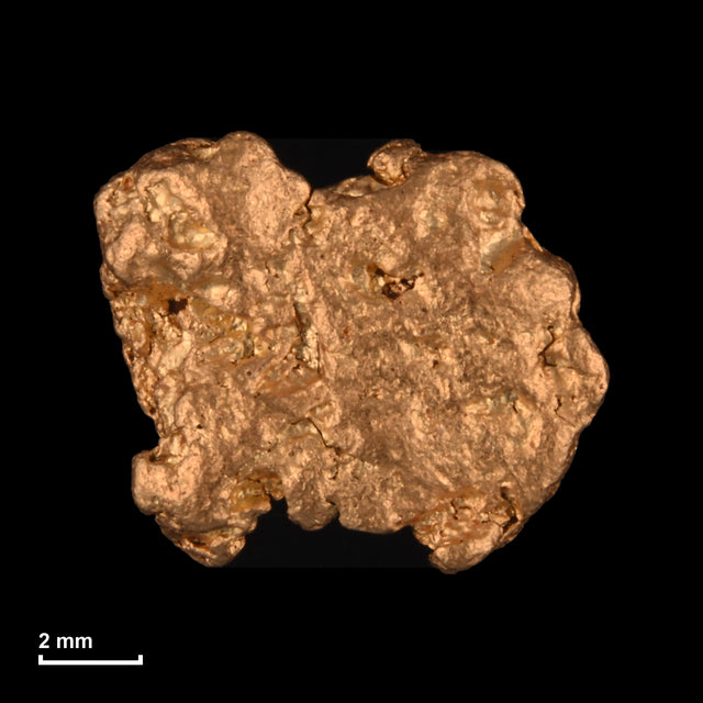 Goldnugget Nr. 26-0238 mit Maßstab: 9,9 × 8,5 mm bei 1,48 g