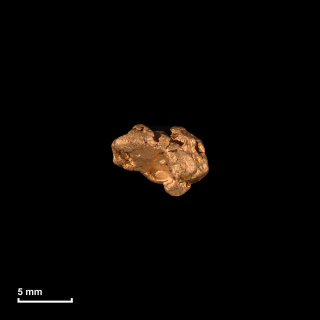 Goldnugget Nr. 26-0254 in tatsächlicher Größe – alle Nuggets im gleichen Maßstab aufgenommen