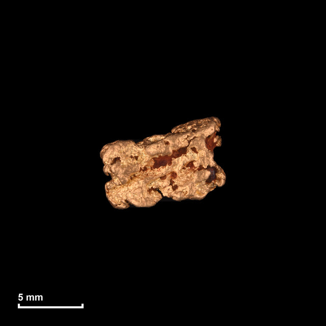 Goldnugget Nr. 26-0110 mit Maßstab: 9,6 × 7,1 mm bei 1,58 g