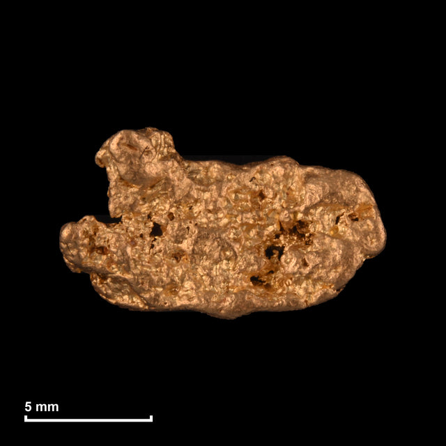 Goldnugget Nr. 26-0252 mit Maßstab: 12,8 × 7,5 mm bei 1,65 g