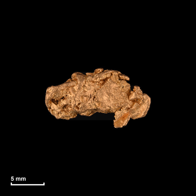 Goldnugget Nr. 26-0269 in tatsächlicher Größe – alle Nuggets im gleichen Maßstab aufgenommen