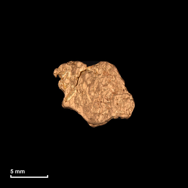 Goldnugget Nr. 26-0016 mit Maßstab: 10,7 × 8,8 mm bei 1,67 g