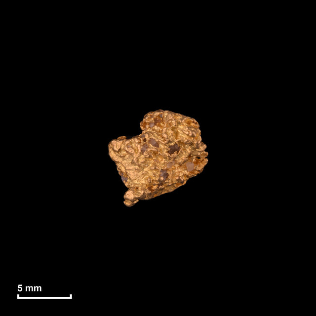 Goldnugget Nr. 26-0256 in tatsächlicher Größe – alle Nuggets im gleichen Maßstab aufgenommen