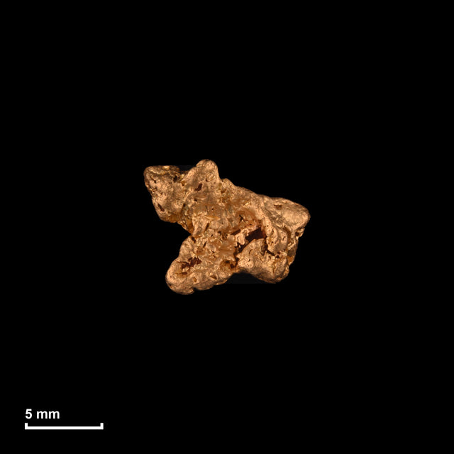Goldnugget Nr. 26-0261 in tatsächlicher Größe – alle Nuggets im gleichen Maßstab aufgenommen