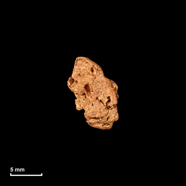 Goldnugget Nr. 26-0306 in tatsächlicher Größe – alle Nuggets im gleichen Maßstab aufgenommen