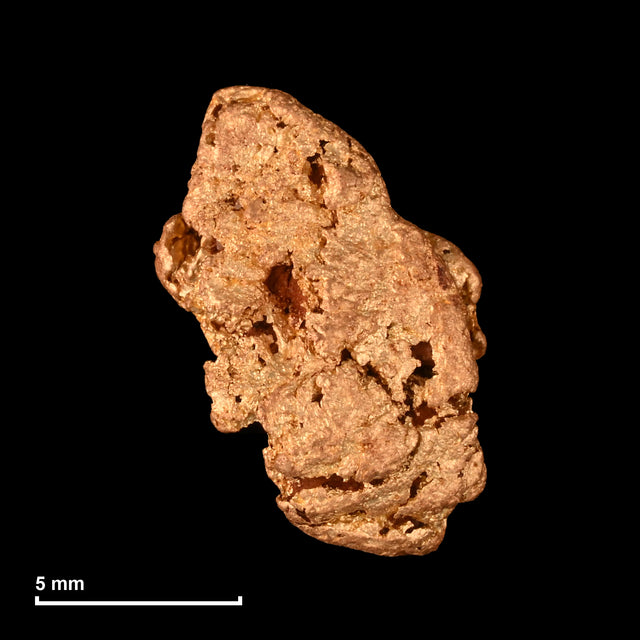 Goldnugget Nr. 26-0306 mit Maßstab: 11,4 × 8,1 mm bei 1,75 g