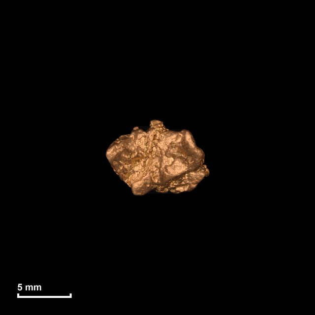 Goldnugget Nr. 26-0239 in tatsächlicher Größe – alle Nuggets im gleichen Maßstab aufgenommen