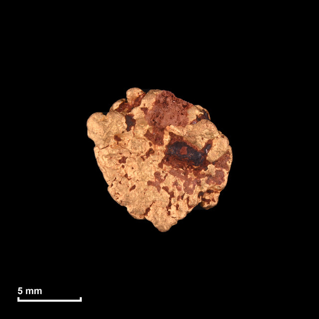 Goldnugget Nr. 26-0010 mit Maßstab: 11,4 × 11,2 mm bei 1,85 g
