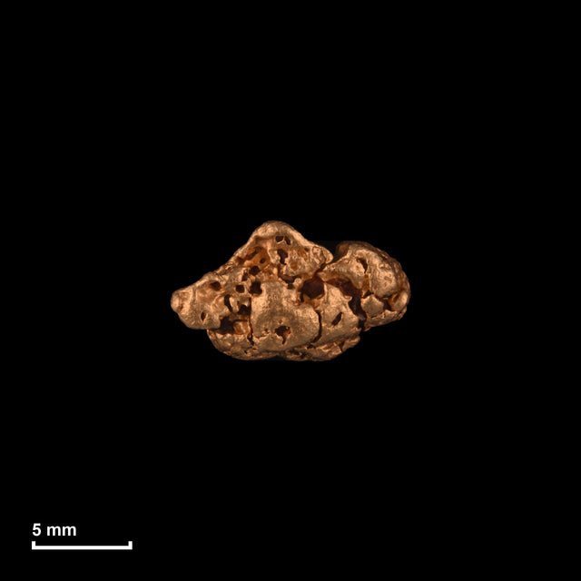Goldnugget Nr. 26-0257 in tatsächlicher Größe – alle Nuggets im gleichen Maßstab aufgenommen