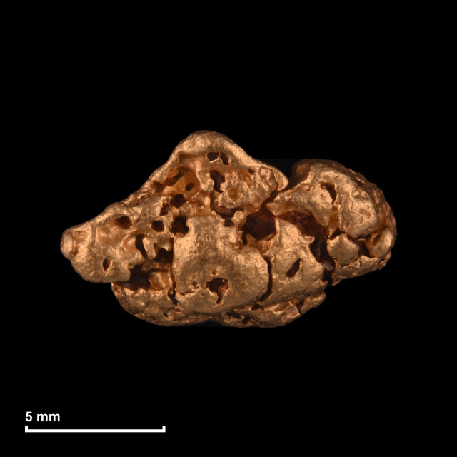 Goldnugget Nr. 26-0257 mit Maßstab: 12,0 × 7,1 mm bei 1,94 g